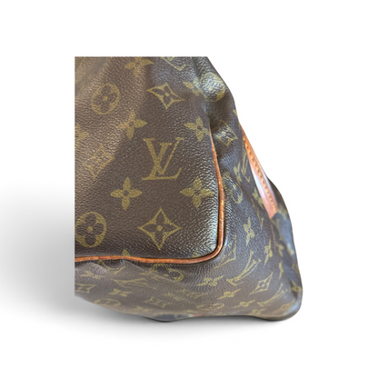 Louis Vuitton Speedy 25 Monogram Marron — vue 13