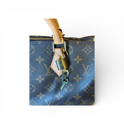 Louis Vuitton Speedy 30 Monogram