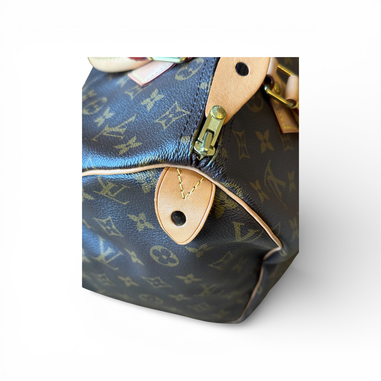 Louis Vuitton Speedy 30 Monogram