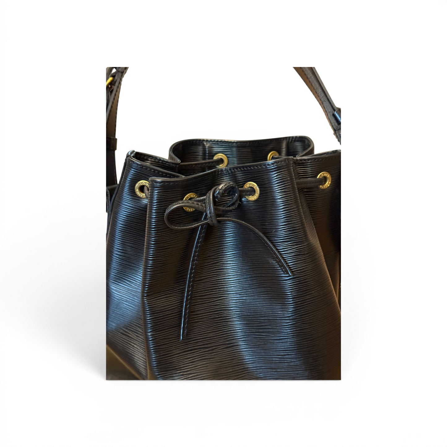 Louis Vuitton Noé Epi