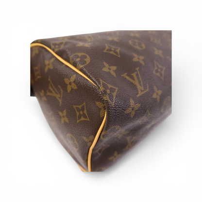 Louis Vuitton Speedy 25 Monogram