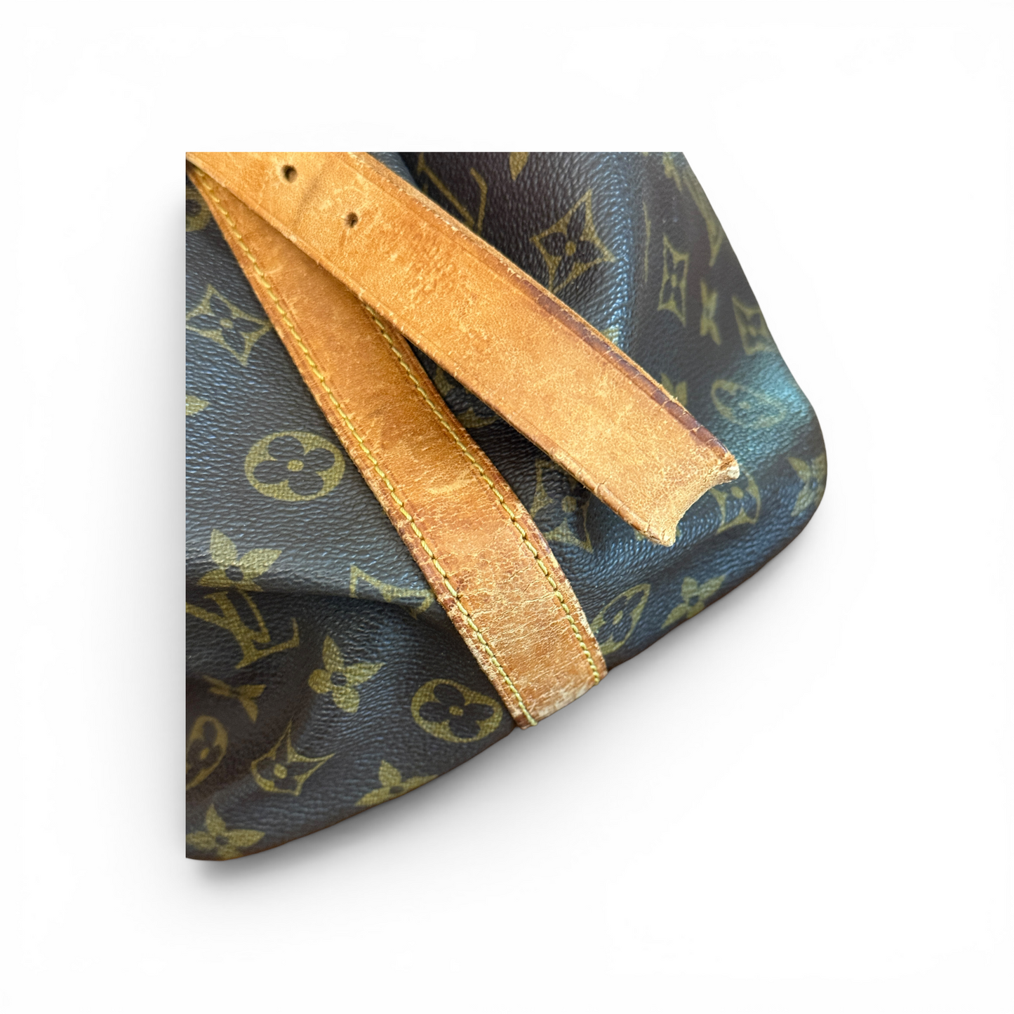 Louis Vuitton Noé Monogram PM