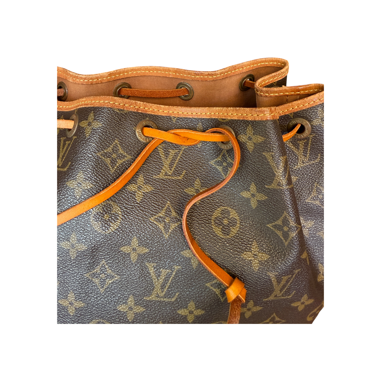 Louis Vuitton Noé Monogram PM