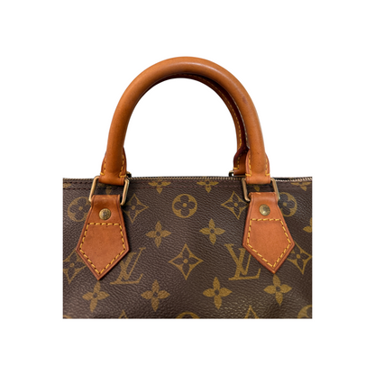 Louis Vuitton Speedy 30 Monogram