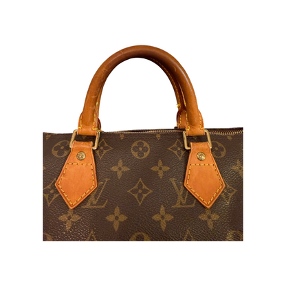 Louis Vuitton Speedy 30 Monogram