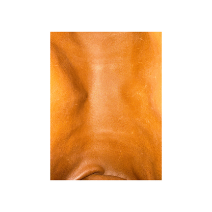 Louis Vuitton Papillon 30 & Mini Monogram