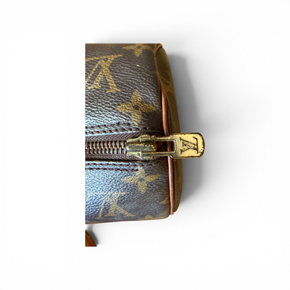 Louis Vuitton Papillon 30 Monogram