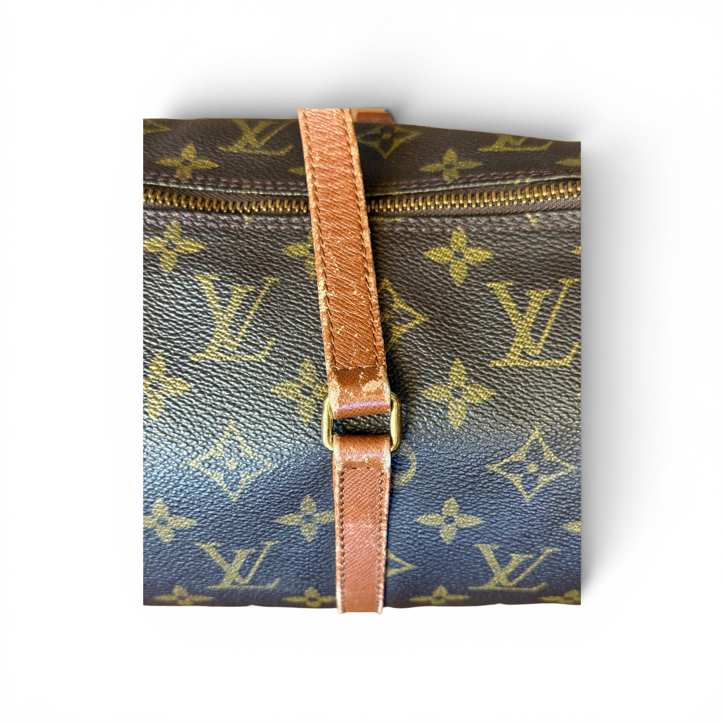 Louis Vuitton Papillon 30 & Mini Monogram
