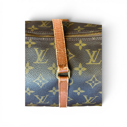 Louis Vuitton Papillon 30 & Mini Monogram