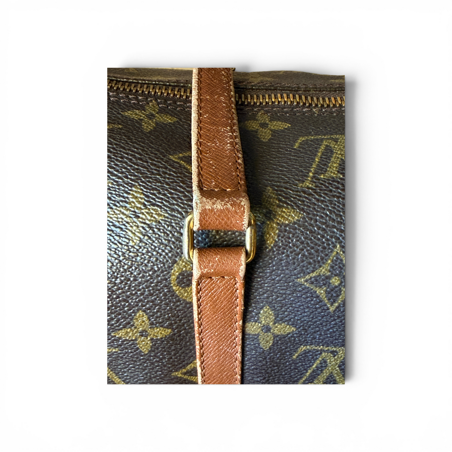 Louis Vuitton Papillon 30 & Mini Monogram