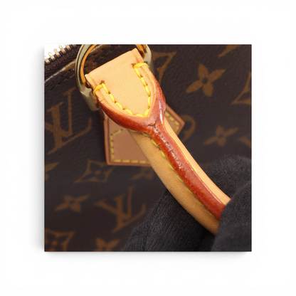 Louis Vuitton Alma PM Monogram