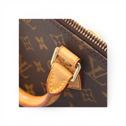 Louis Vuitton Alma PM Monogram