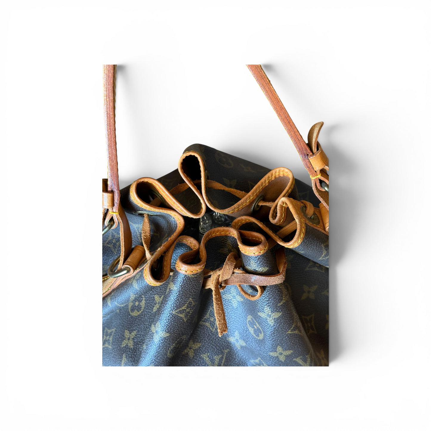 Louis Vuitton Noé Monogram PM