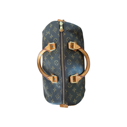 Louis Vuitton Speedy 30 Monogram