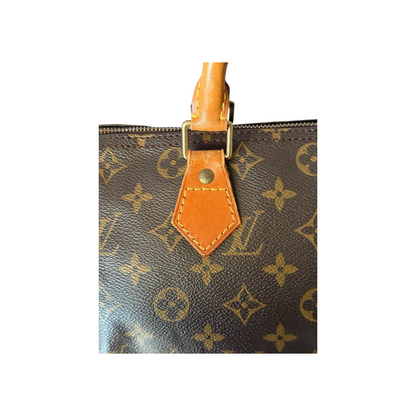 Louis Vuitton Speedy 30 Monogram