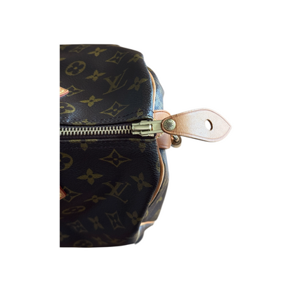 Louis Vuitton Speedy 30 Monogram