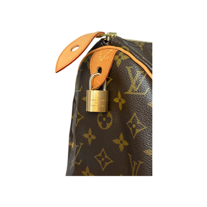 Louis Vuitton Speedy 30 Monogram