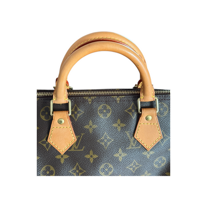 Louis Vuitton Speedy 30 Monogram