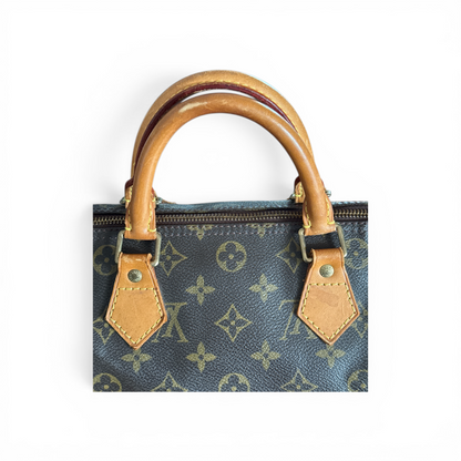 Louis Vuitton Speedy 30 Monogram