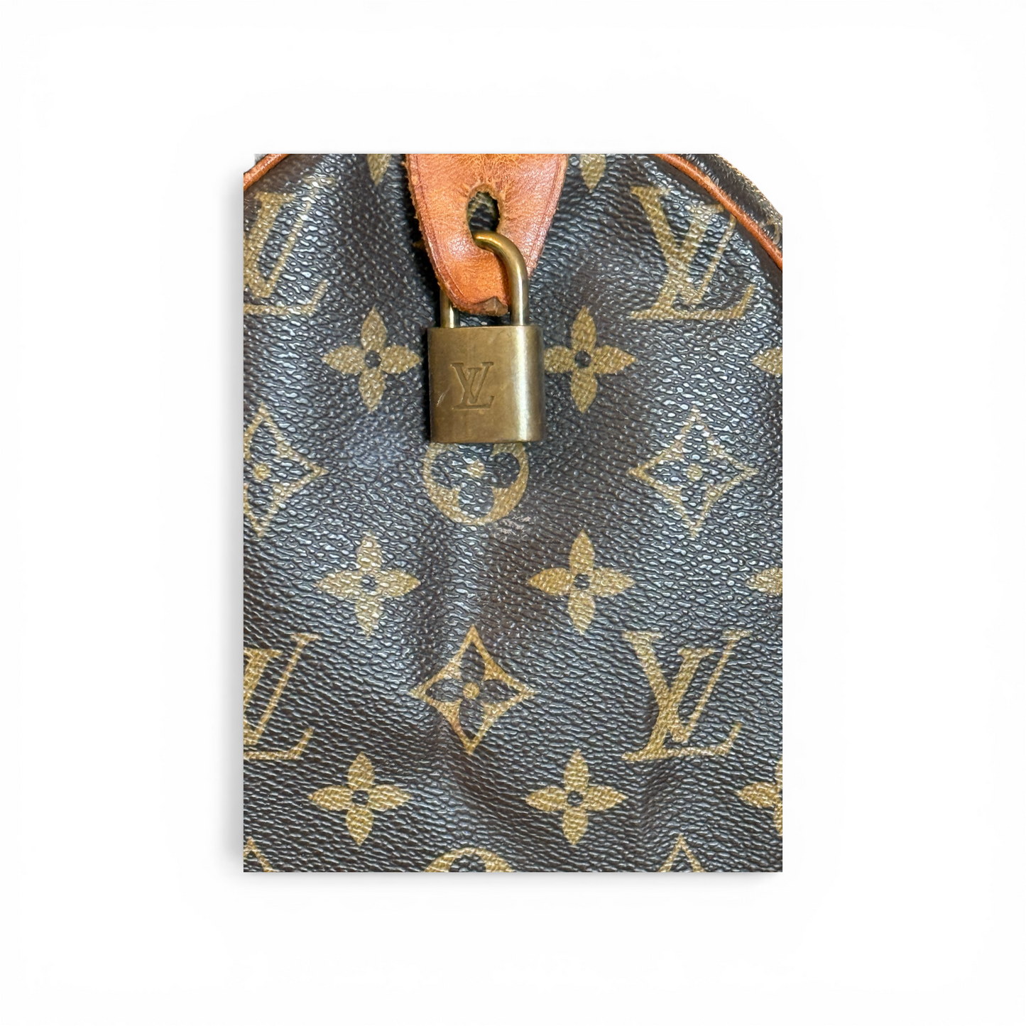 Louis Vuitton Speedy 30 Monogram