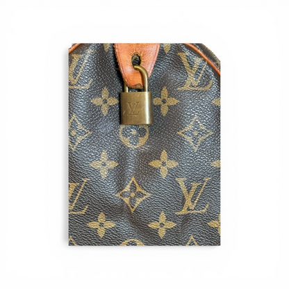 Louis Vuitton Speedy 30 Monogram