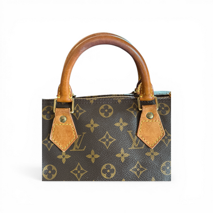 Louis Vuitton Speedy 30 Monogram