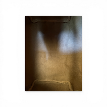 Louis Vuitton Speedy 25 Monogram