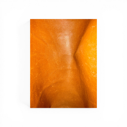 Louis Vuitton Papillon 26 Monogram