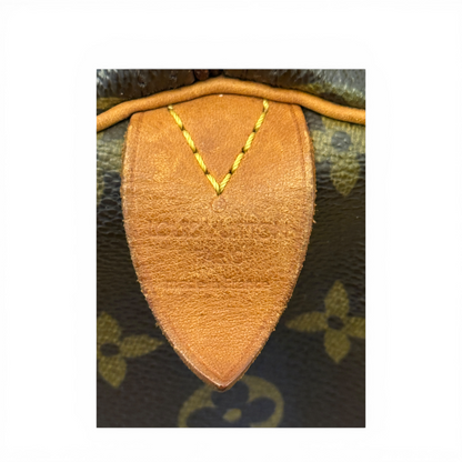 Louis Vuitton Speedy 30 Monogram